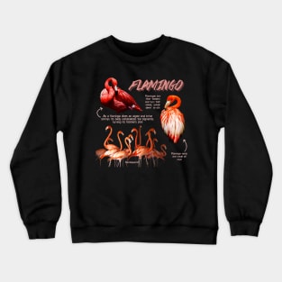 Flamingo Fun Facts Crewneck Sweatshirt